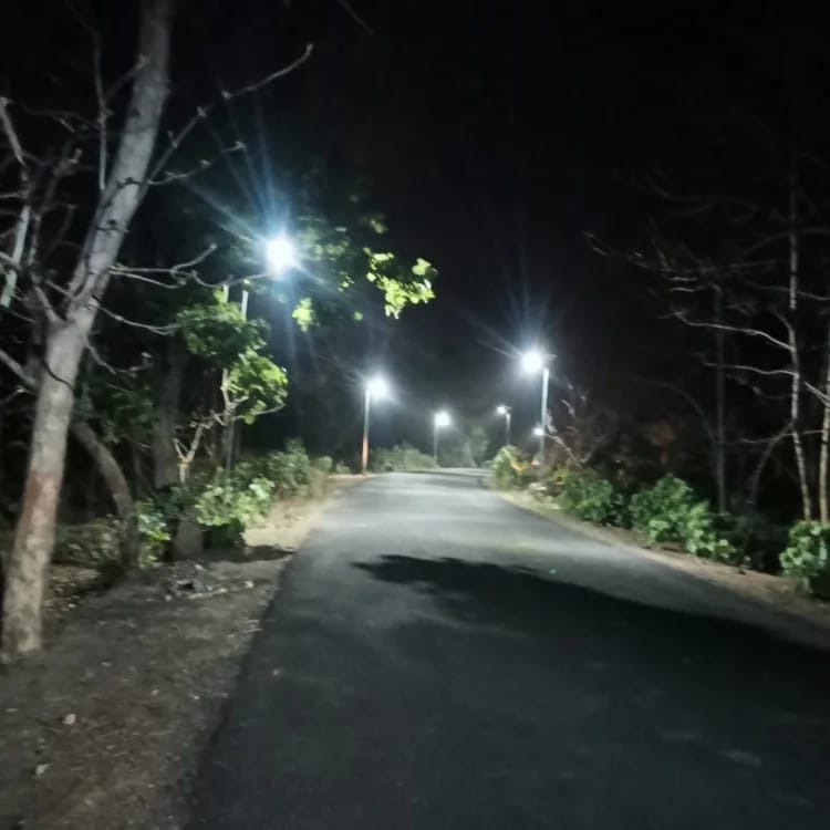 solar LED street light  30  Watt