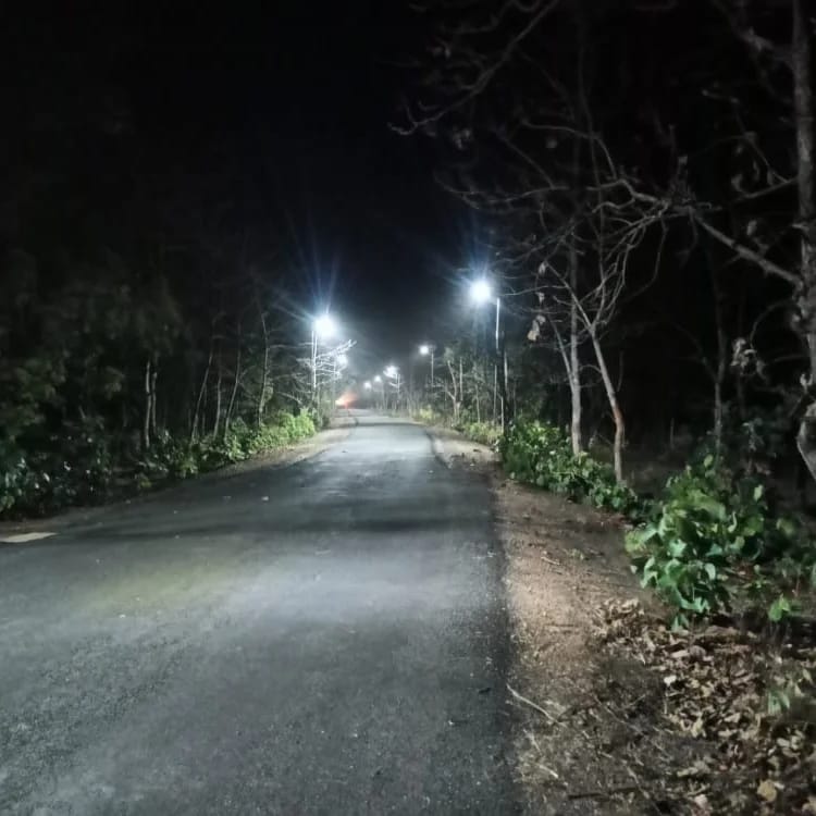 24  Watt solar street light